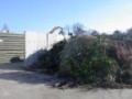 Quid du brûlage des déchets verts en Gironde